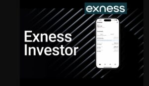 Exness Yatırımcı Hesabı